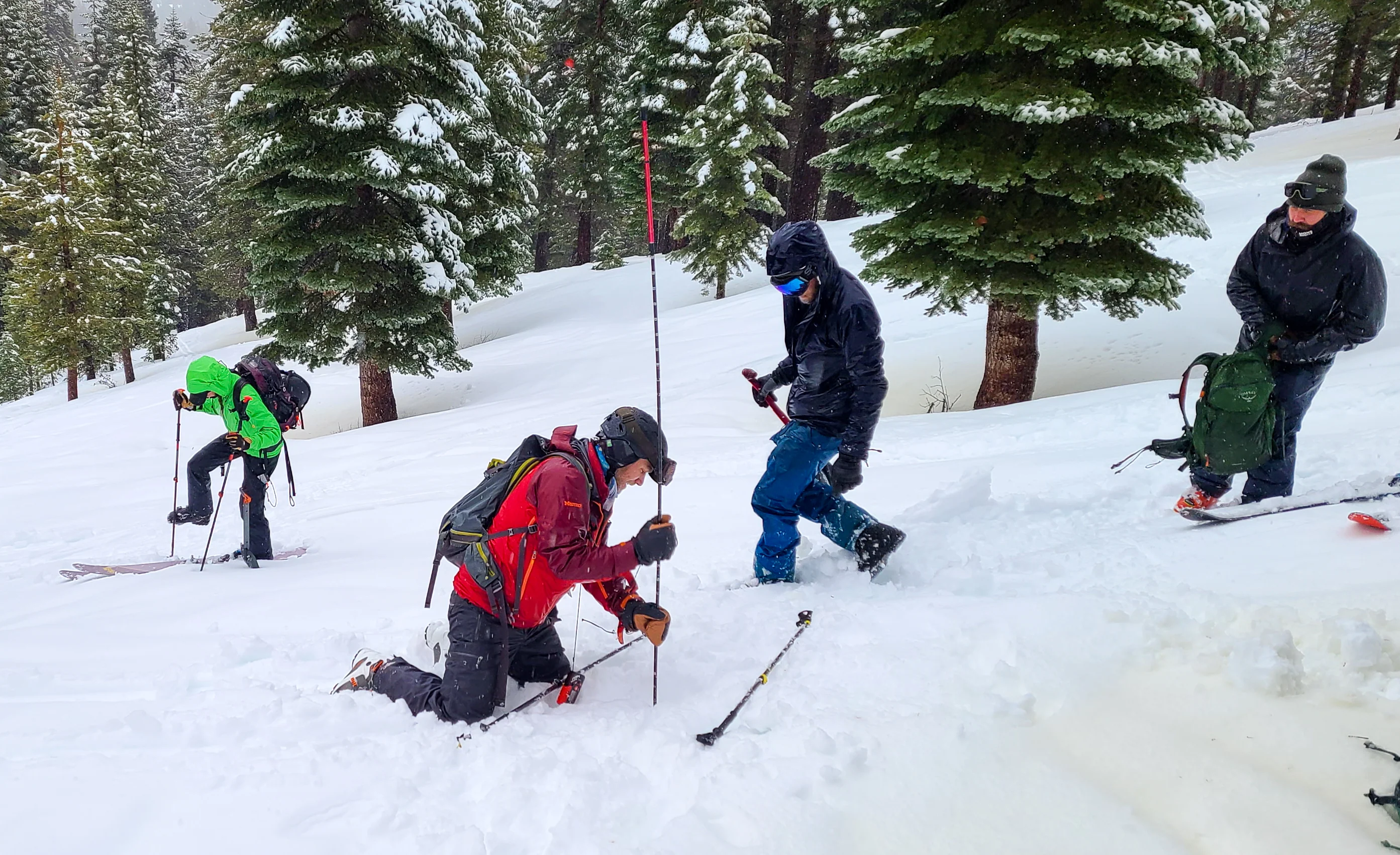 AIARE 1 Avalanche Course - Tahoe - Image 3