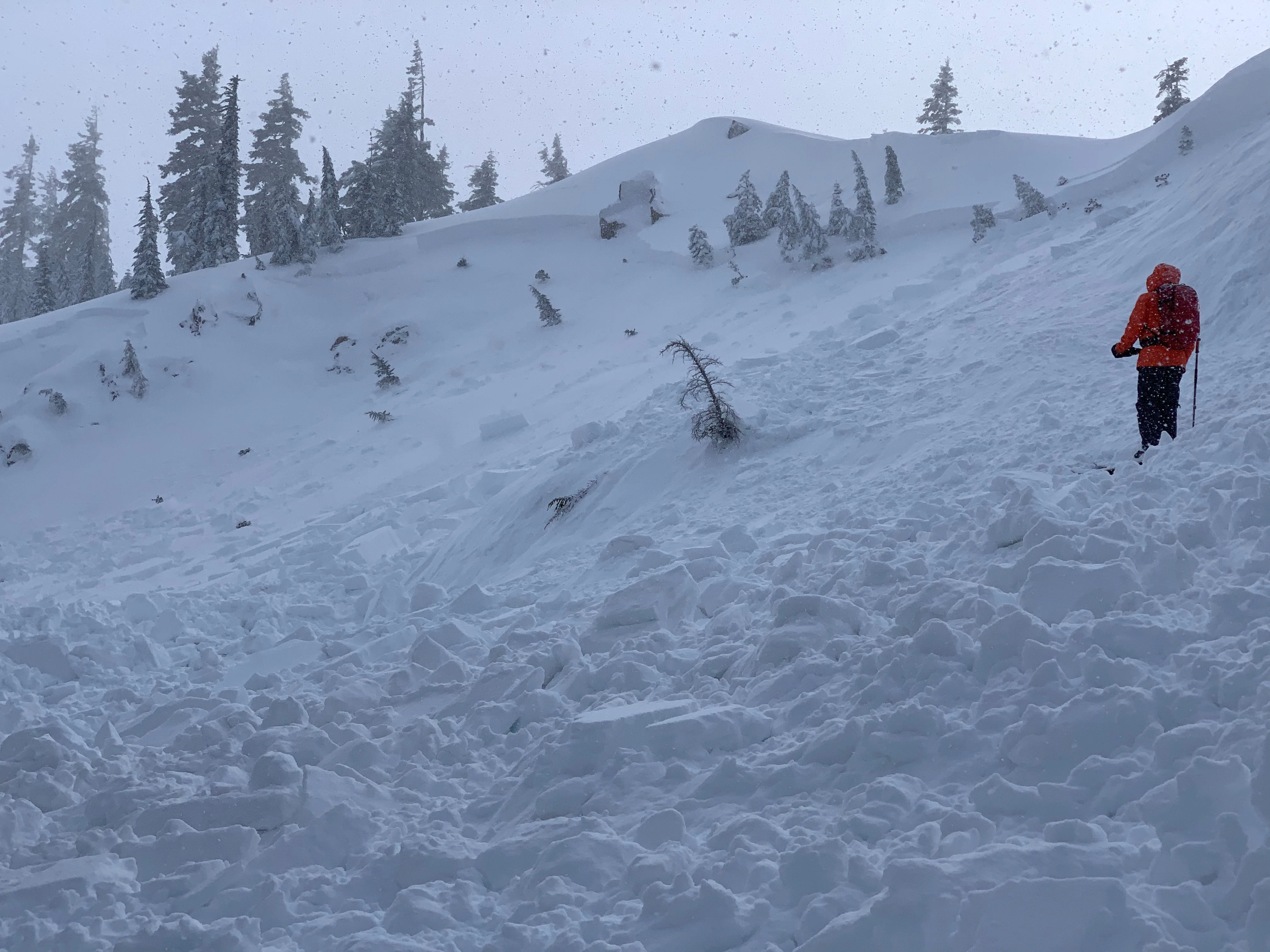 AIARE 1 Avalanche Course - Tahoe - Image 5