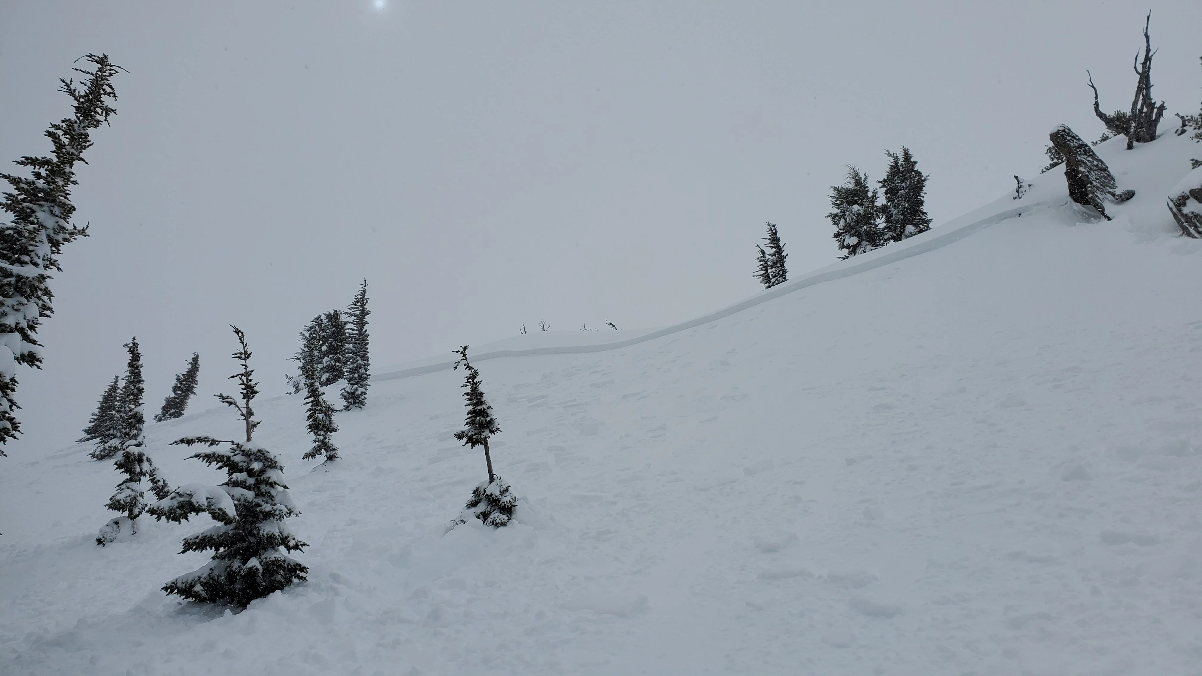 AIARE 1 Avalanche Course - Tahoe - Image 8