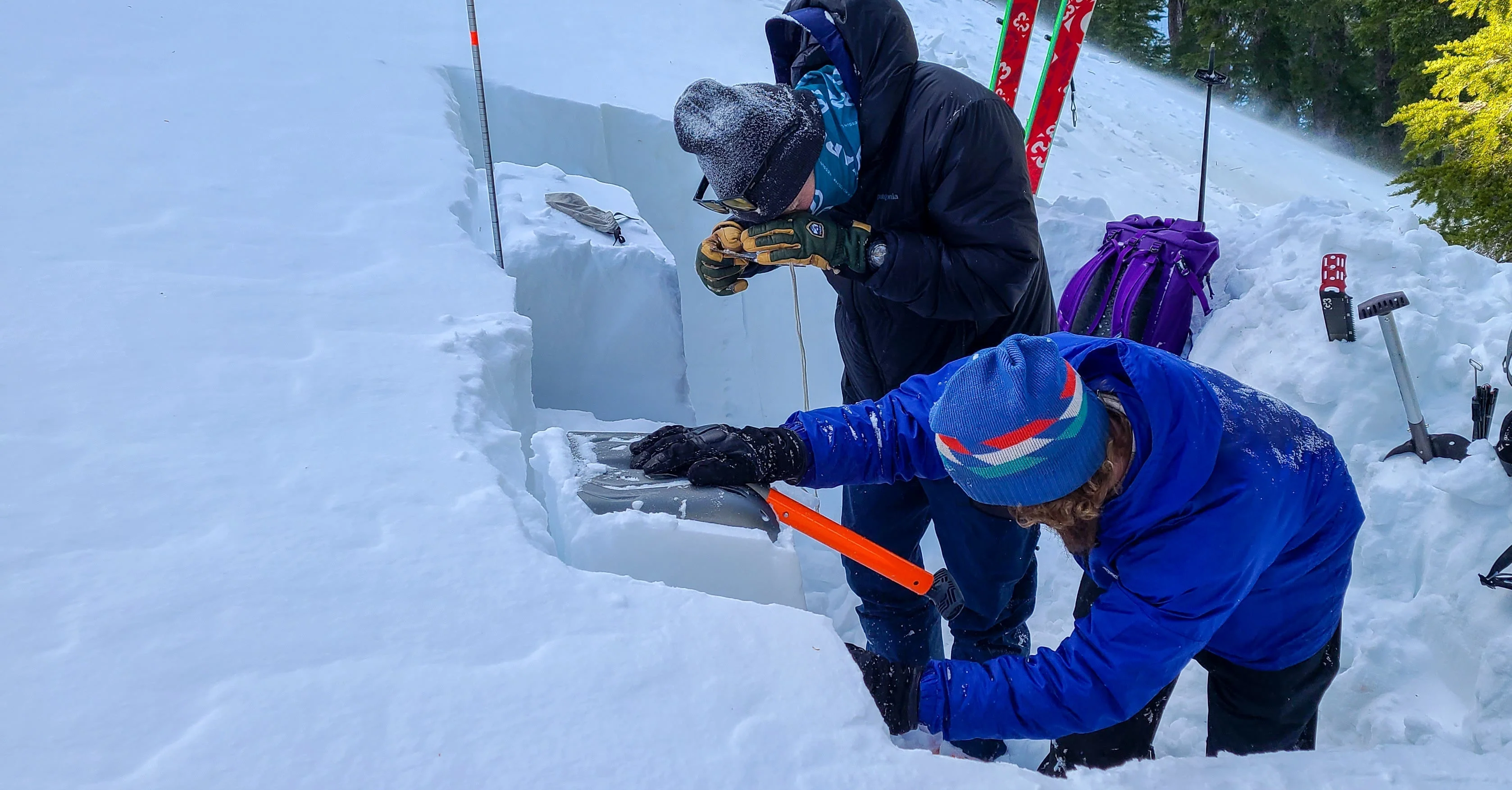 AIARE 1 Avalanche Course - Mammoth - Image 3