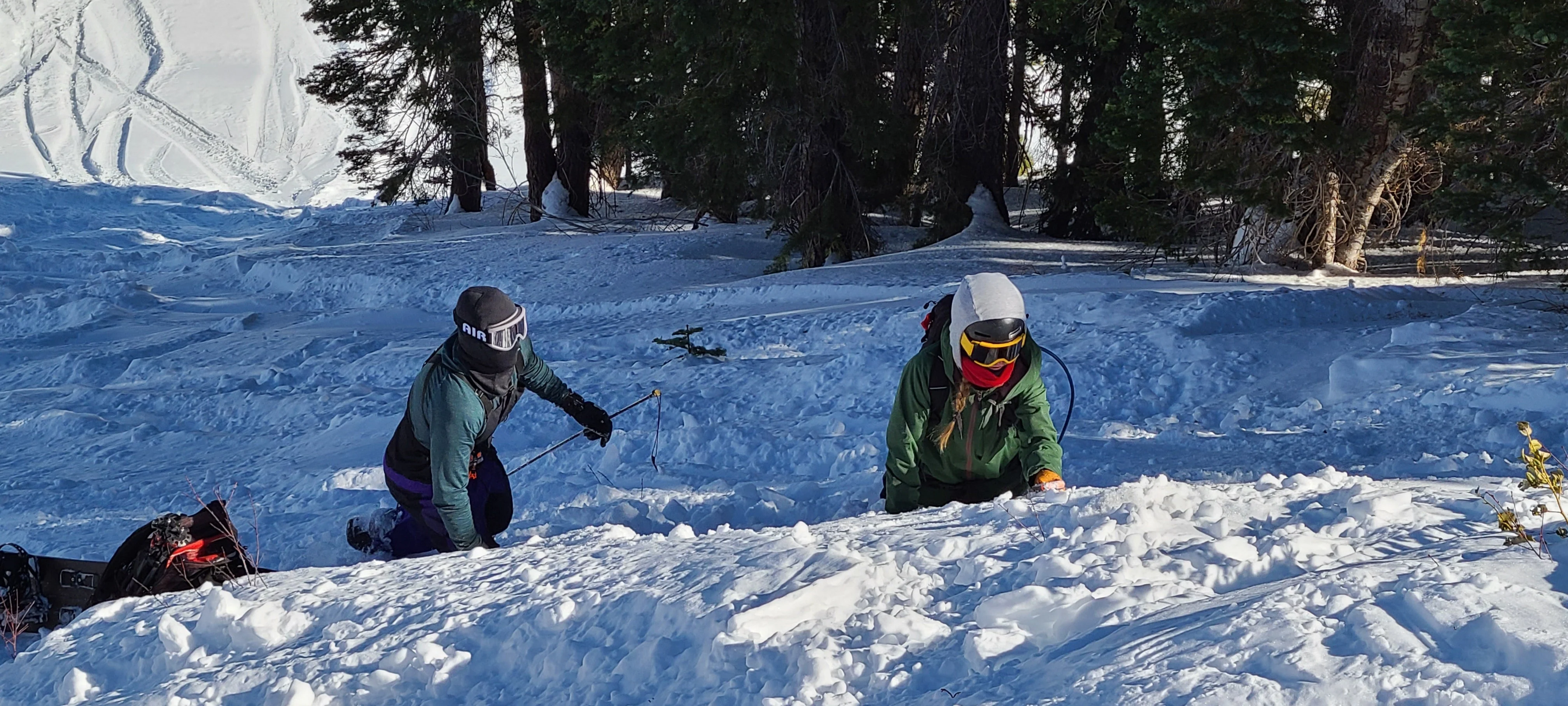 Lift-Accessed AIARE Avalanche Rescue Course - Tahoe - Image 3