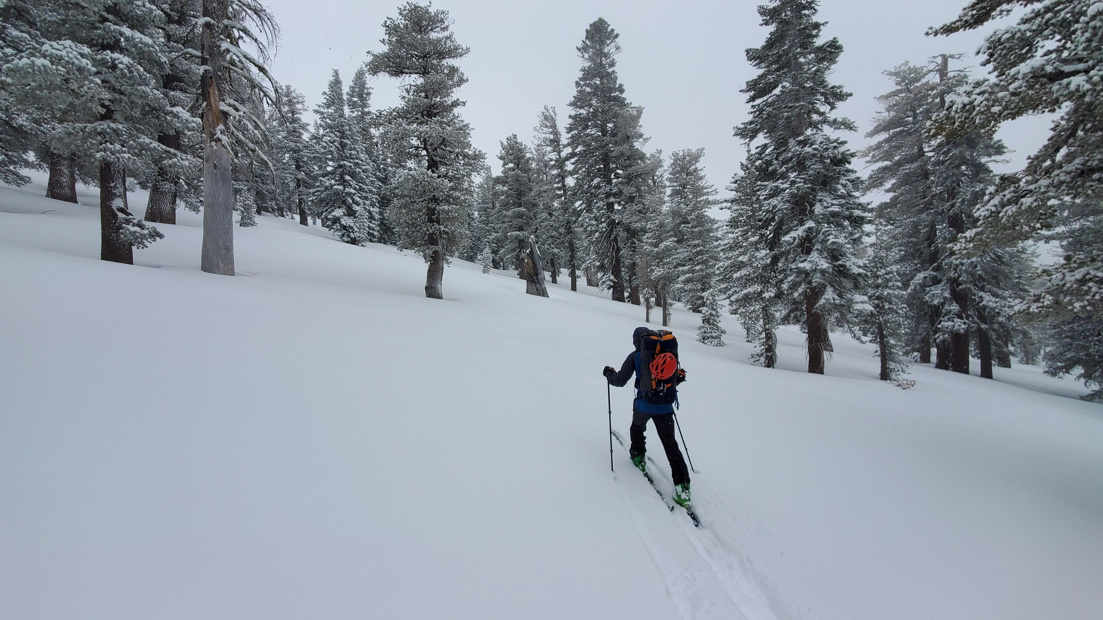 Mt Rose Backcountry Skiing & Splitboarding - Image 6