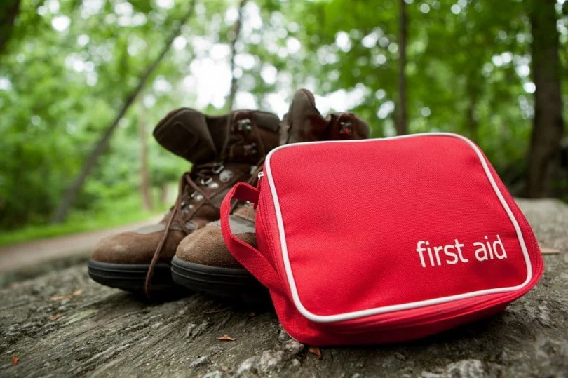 Wilderness First Responder Recertification (WFR Recert) - Image 8